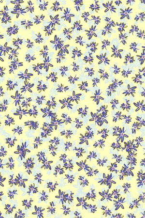 小雏菊印花华亿平台图片