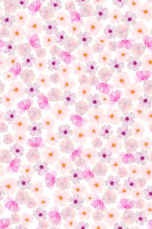 女装印花华亿平台图片