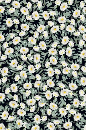 女装印花华亿平台图片