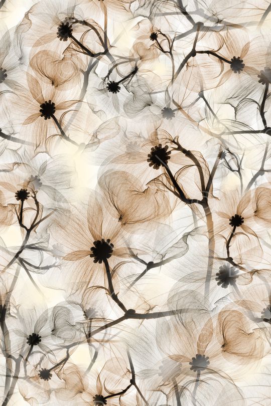 绿植树叶印花华亿平台图片