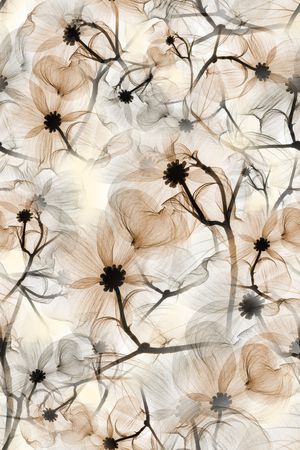 绿植树叶印花华亿平台图片