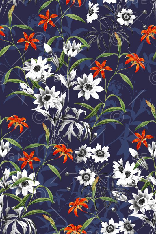 女装印花华亿平台图片