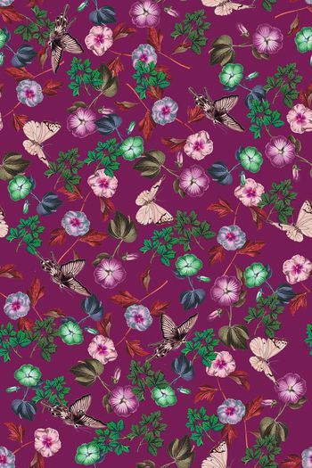 1459780-花卉20071-4