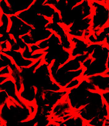 纹理印花华亿平台图片