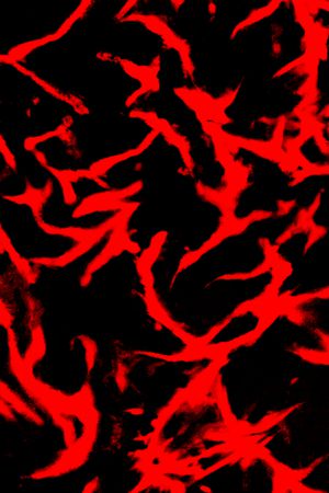 纹理印花华亿平台图片