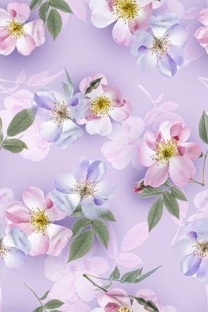 清爽底花卉印花华亿平台图片