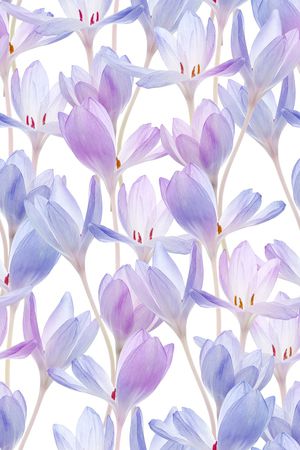 清爽底花卉印花华亿平台图片