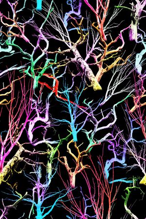 线条印花华亿平台图片