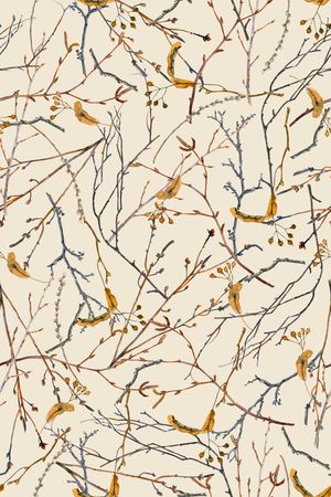 植物印花华亿平台图片