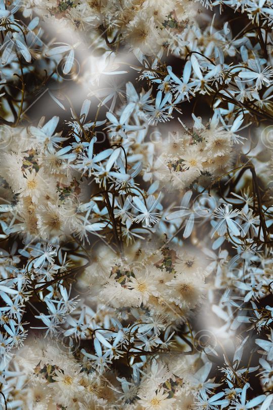 定位花印花华亿平台图片