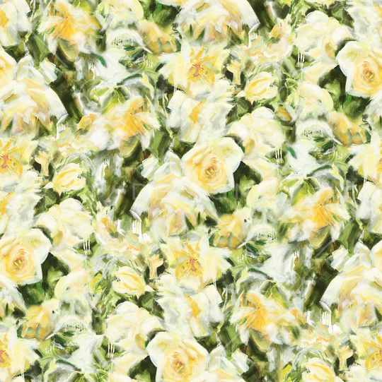 玫瑰花印花华亿平台图片