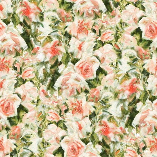 玫瑰花印花华亿平台图片