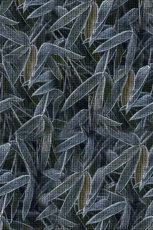 绿植树叶印花华亿平台图片