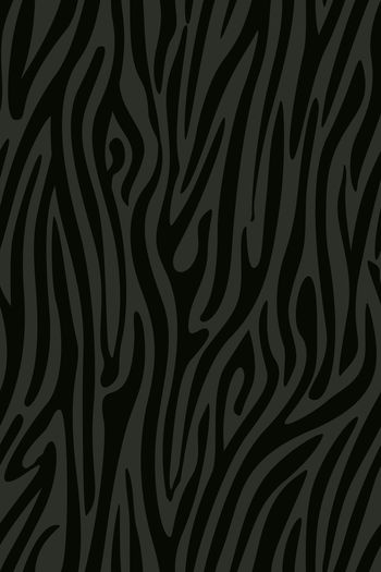1461440-斑马纹08c