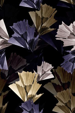 香云纱印花华亿平台图片