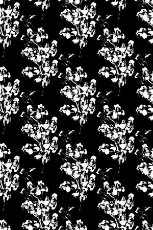 字母印花华亿平台图片