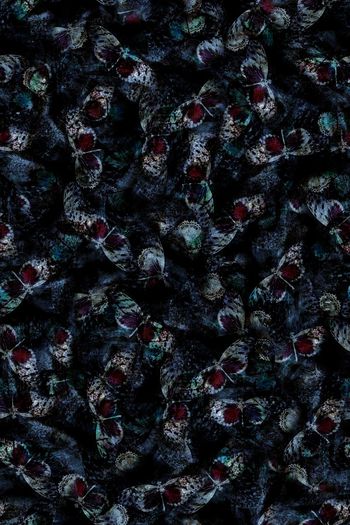 字母印花华亿平台图片