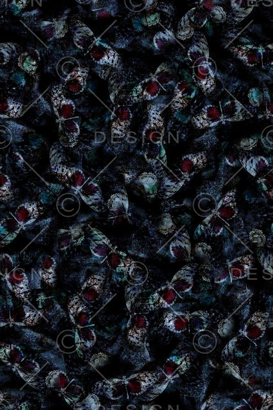 字母印花华亿平台图片