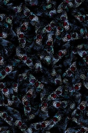 字母印花华亿平台图片