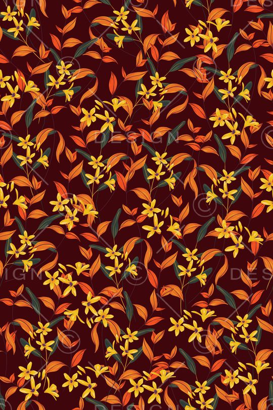 女装印花华亿平台图片