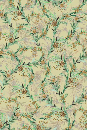 1462010-花卉20076-3