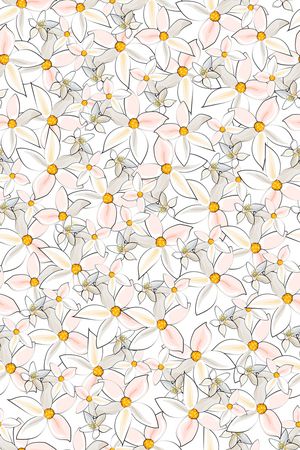 女装印花华亿平台图片