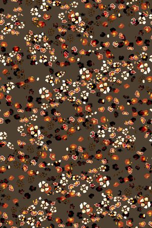 抽象花卉印花华亿平台图片