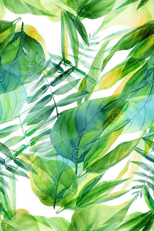 绿植树叶印花华亿平台图片