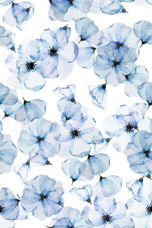 清爽底花卉印花华亿平台图片