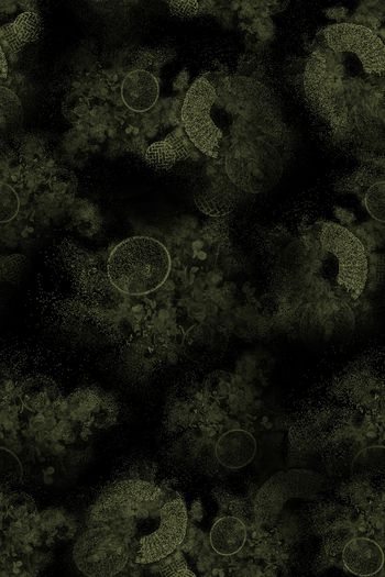 1462773-2021-11-12喜庆花