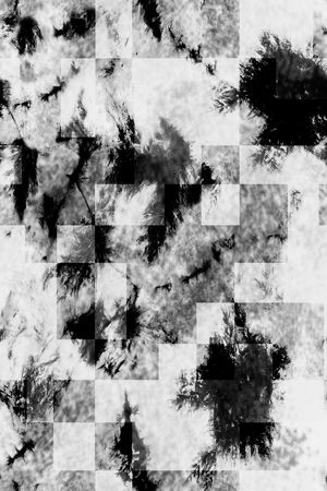 字母印花华亿平台图片