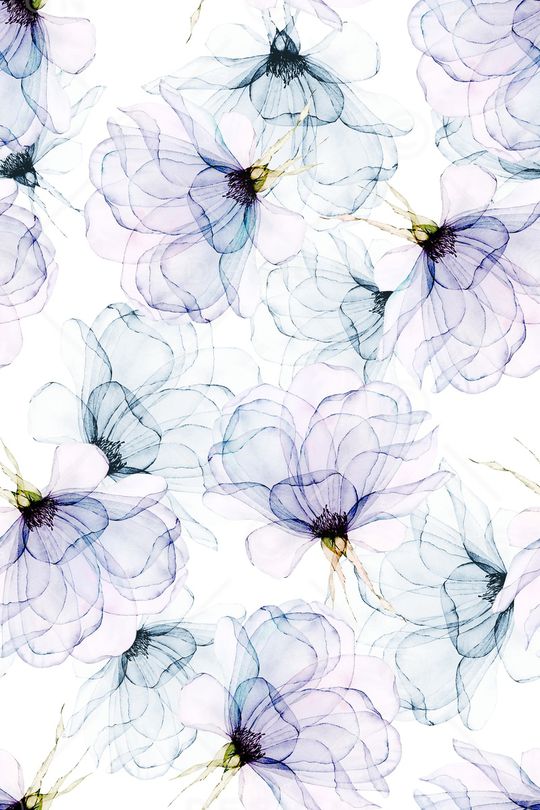 清爽底花卉印花华亿平台图片