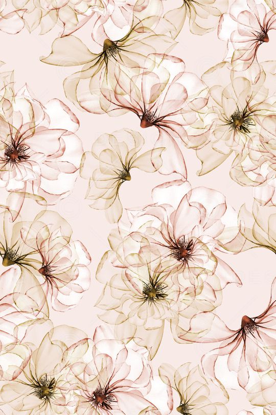 清爽底花卉印花华亿平台图片