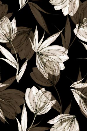 黑底花卉印花华亿平台图片