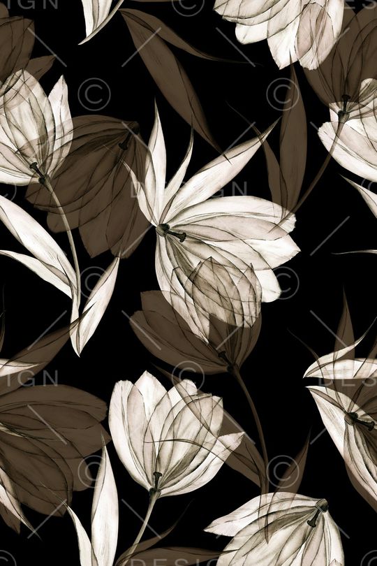 黑底花卉印花华亿平台图片