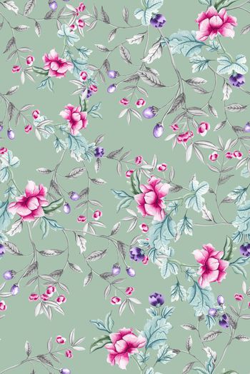 1463184-2021-11-15棉花牡丹