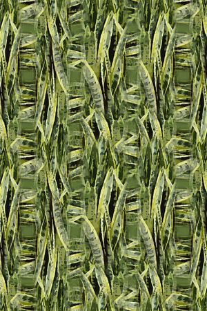 男装印花华亿平台图片