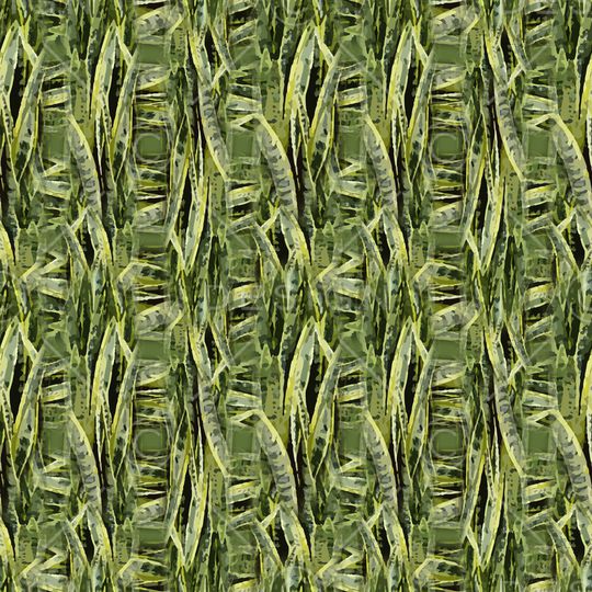 男装印花华亿平台图片