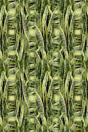 男装印花华亿平台图片