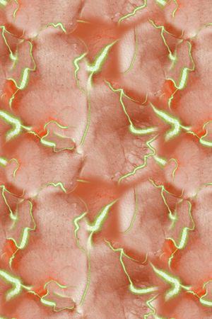 大牌风印花华亿平台图片