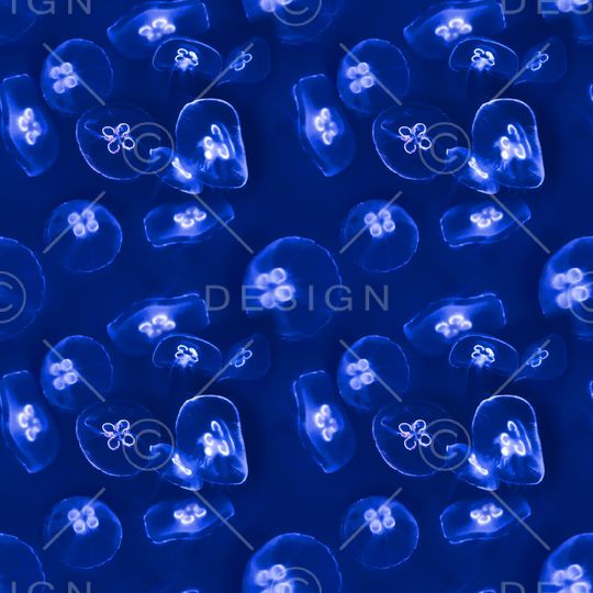 海洋印花华亿平台图片