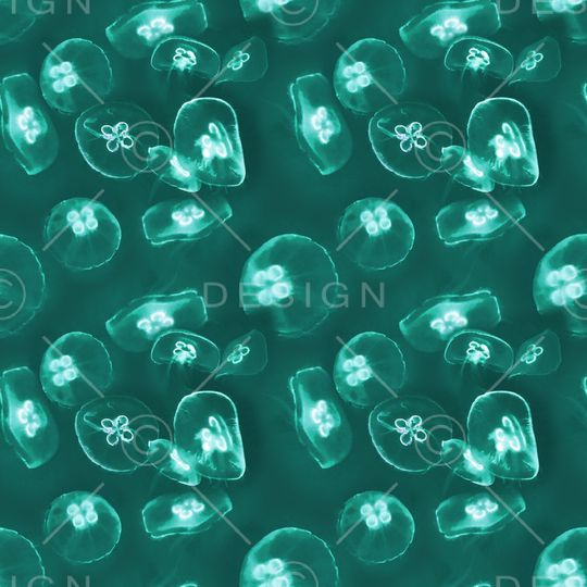 海洋印花华亿平台图片