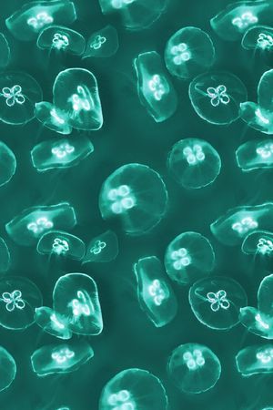 海洋印花华亿平台图片