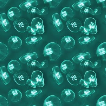 1463250-20211112-nzjl-3-