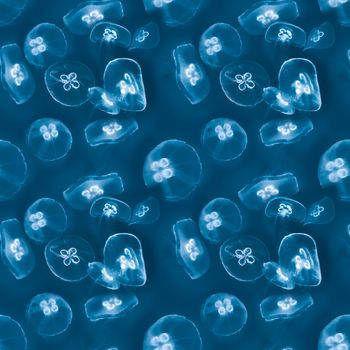 1463251-20211112-nzjl-3-