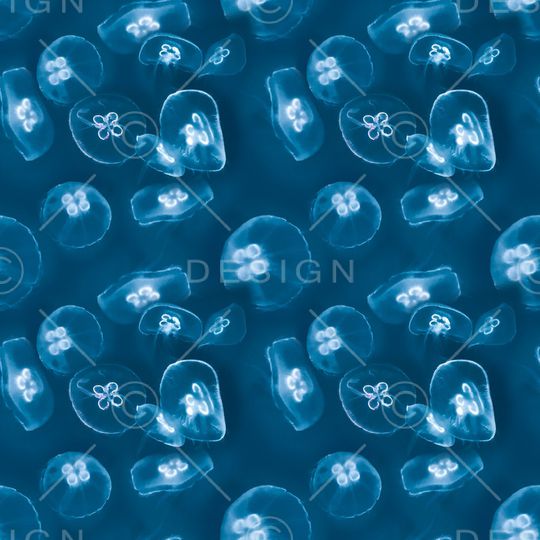 海洋印花华亿平台图片