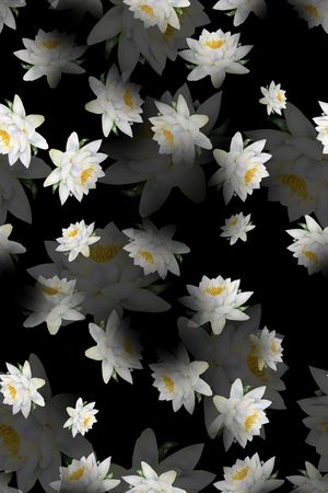 清爽底花卉印花华亿平台图片