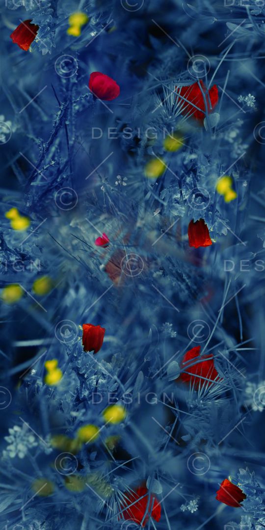 烂花华亿平台印花华亿平台图片