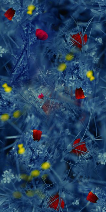 烂花华亿平台印花华亿平台图片