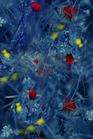 烂花华亿平台印花华亿平台图片